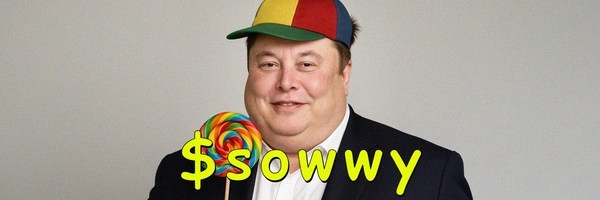 sowwy Token Header