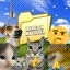 Memes In My Folder Icon