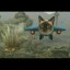 Meowing737 Icon