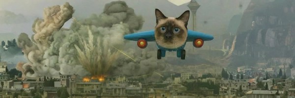 Meowing737 Token Header