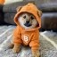 Dog (Bitcoin) Icon