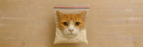 Catamine Token Header