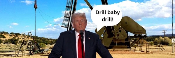 DRILL BABY DRILL Token Header