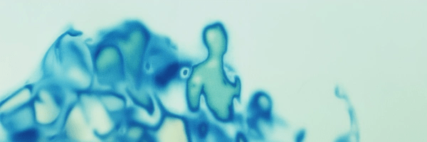 main character Token Header