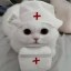 MediCat Icon