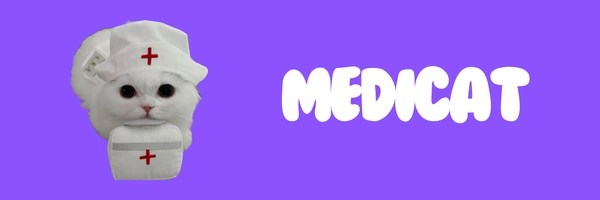 MediCat Token Header