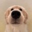 bro Icon