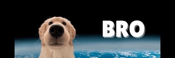 bro Token Header