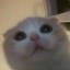 StaringAtYou Icon