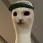 buck the cat Icon