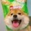 CHIPS Icon