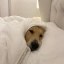 snooze Icon