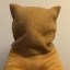 hostage cat Icon