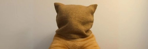 hostage cat Token Header