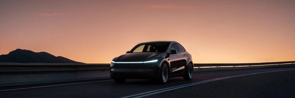 Tesla Robotaxi Token Header