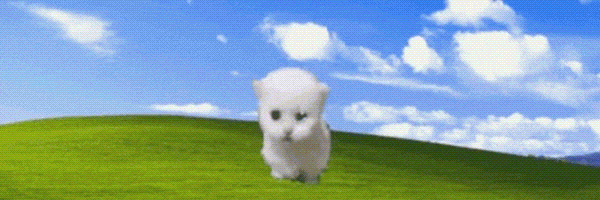 hop cat Token Header