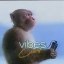 vibe shift Icon