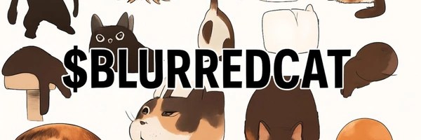 Not-a-Cat Challenge Token Header