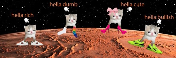 hella Token Header