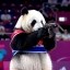 ANIMAL OLYMPICS Icon