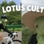 LOTUS CULT Icon