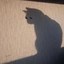 SHADOW Icon
