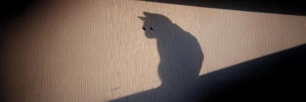SHADOW Token Header