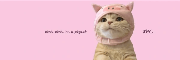 Pig Cat Token Header
