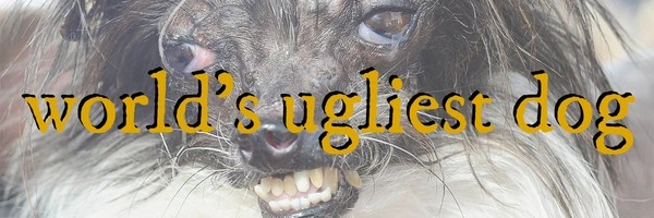 world's ugliest dog Token Header