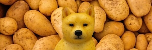 pawtato Token Header