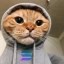 Hood Cat Icon