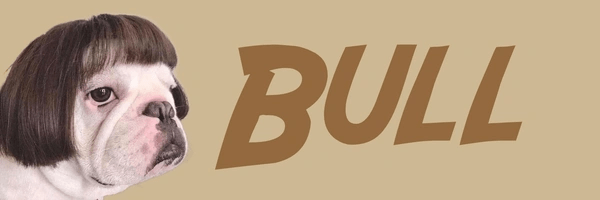 Bull Token Header