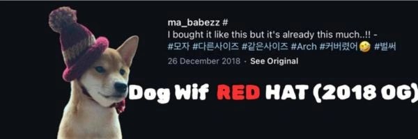 dog wif red hat Token Header