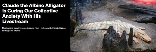 Claude the Anthropic Alligator Token Header