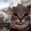 WarCat Icon