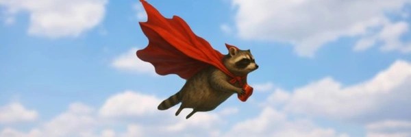 Flying Raccoon Token Header