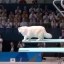 Kitty Olympics Icon