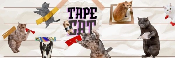 Tapecat Token Header