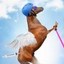 Horse on Ketamine Icon