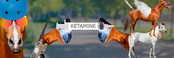 Horse on Ketamine Token Header