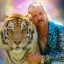 Official Tiger King Coin Icon