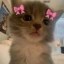 iiii lovvv yuuuu Icon