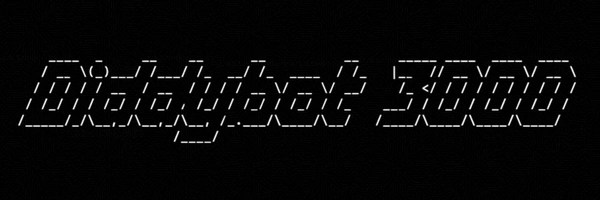 Diddybot 3000 Token Header