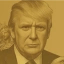 Trump Gold Card Icon
