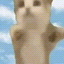 Happy Cat Icon