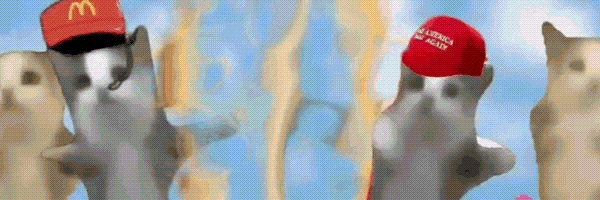 Happy Cat Token Header