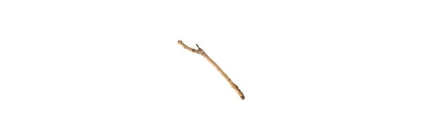 sticknation Token Header
