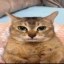tole tole Icon