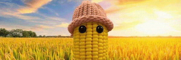 corn wif hat Token Header