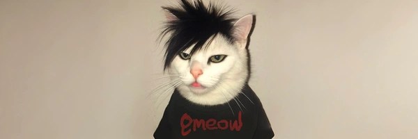 emeow Token Header